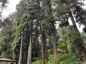 大宮温泉神社(栃木県)(2023年07月29日(土) 16時37分04秒投稿)