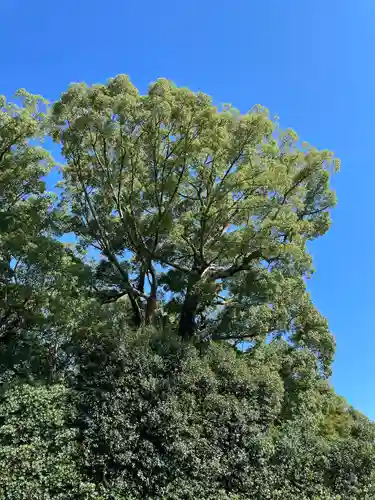 月讀宮（皇大神宮別宮）(三重県)