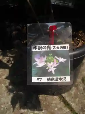 光則寺のその他建物