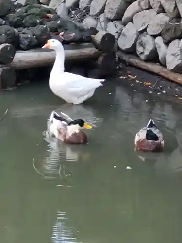 生島足島神社(長野県)