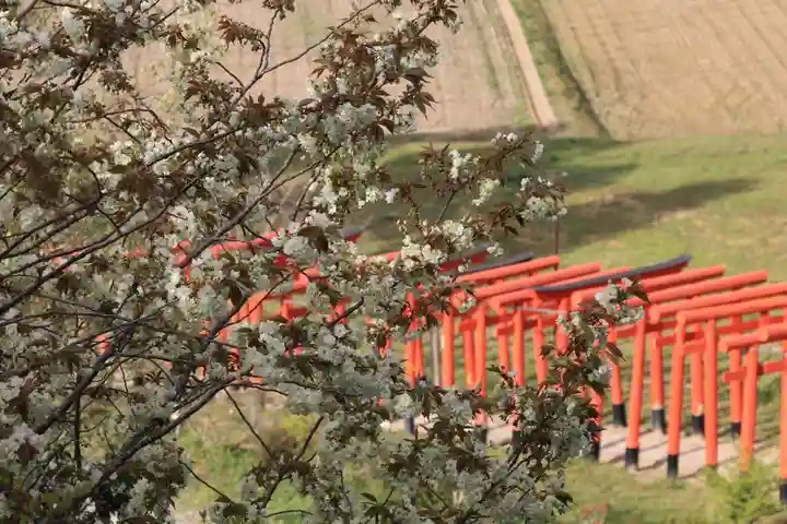 高屋敷稲荷神社の景色