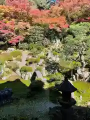 吸湖山　青岸寺の庭園