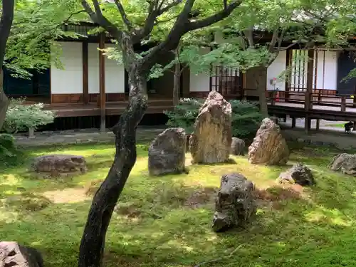 建仁寺（建仁禅寺）の庭園