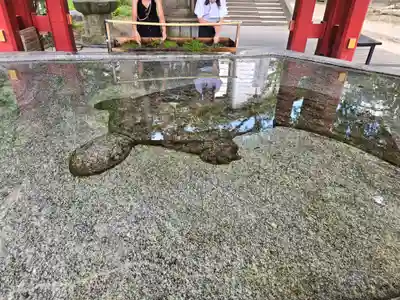 太宰府天満宮の手水舎