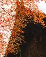 四合稲荷神社(東京都)