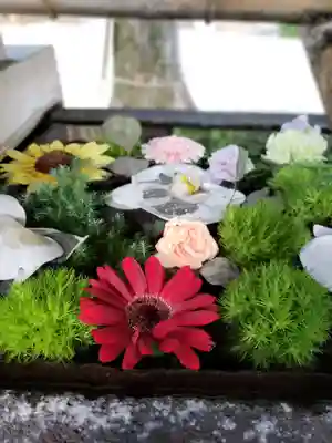 鳩森八幡神社の手水舎
