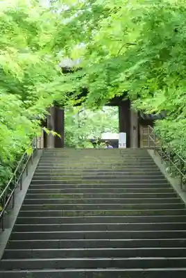 円覚寺(神奈川県)