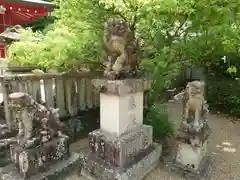 機物神社の狛犬