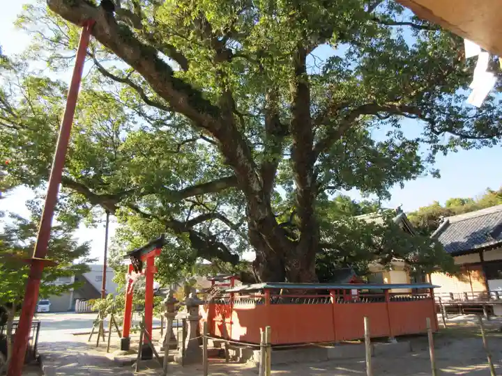 龍田神社の自然