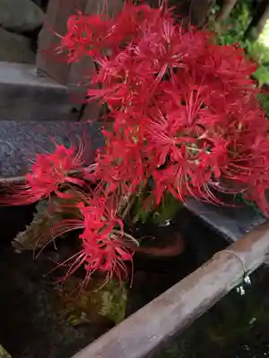 高司神社〜むすびの神の鎮まる社〜(福島県)