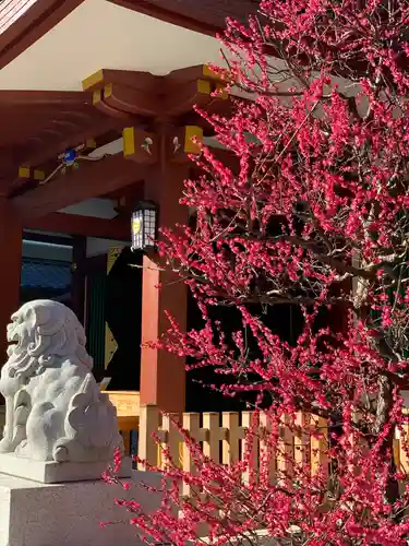 蒲田八幡神社の自然