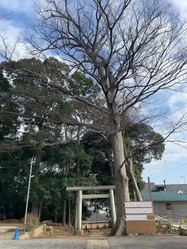 春日神社の{uncategorized: "未分類", other: "その他", undefined: "問題あり", building: "その他建物", grave: "お墓", sacred_gate: "鳥居", guardian: "狛犬", statue: "像", buddha: "仏像", history: "歴史", nature: "自然", garden: "庭園", animal: "動物", pagoda: "塔", temizu: "手水舎", mountain_gate: "山門・神門", sanctuary: "本殿・本堂", subordinate: "末社・摂社", art: "芸術", scenery: "景色", jizo: "地蔵", ema: "絵馬", goshuin: "御朱印", omikuji: "おみくじ", items: "授与品その他", amulet: "お守り", goshuincho: "御朱印帳", eats: "食事", festival: "お祭り", votive_dance: "神楽", shichigosan: "七五三参", wedding: "結婚式", experience: "体験その他", initially: "初詣", around: "周辺", anti_infection: "感染症対策"}