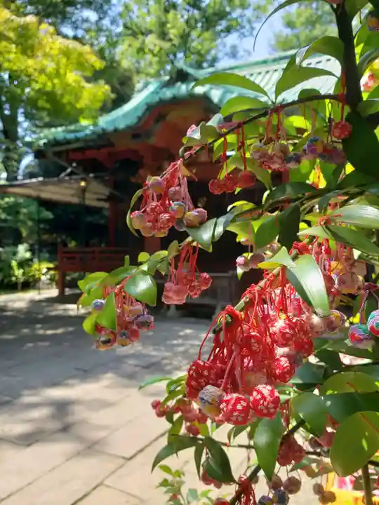 赤坂氷川神社(東京都)