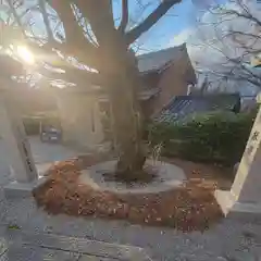 出雲大神宮の庭園