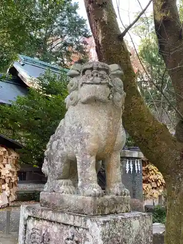 報徳二宮神社の狛犬