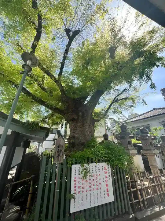 二宮神社の{uncategorized: "未分類", other: "その他", undefined: "問題あり", building: "その他建物", grave: "お墓", sacred_gate: "鳥居", guardian: "狛犬", statue: "像", buddha: "仏像", history: "歴史", nature: "自然", garden: "庭園", animal: "動物", pagoda: "塔", temizu: "手水舎", mountain_gate: "山門・神門", sanctuary: "本殿・本堂", subordinate: "末社・摂社", art: "芸術", scenery: "景色", jizo: "地蔵", ema: "絵馬", goshuin: "御朱印", omikuji: "おみくじ", items: "授与品その他", amulet: "お守り", goshuincho: "御朱印帳", eats: "食事", festival: "お祭り", votive_dance: "神楽", shichigosan: "七五三参", wedding: "結婚式", experience: "体験その他", initially: "初詣", around: "周辺", anti_infection: "感染症対策"}