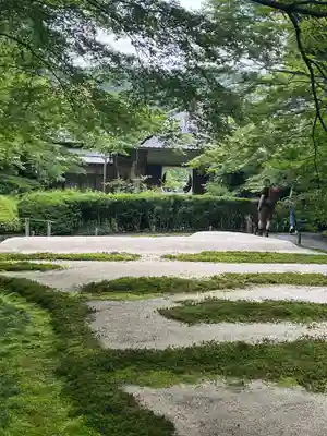 明月院(神奈川県)