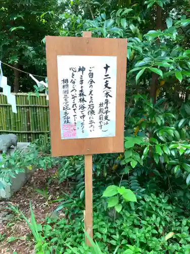 比々多神社の歴史