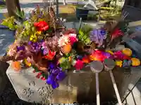 勝林寺(京都府)