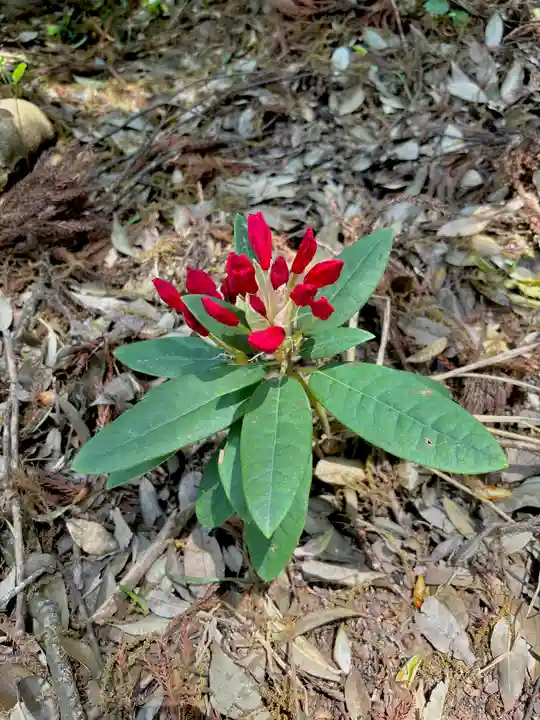 蚊里田八幡宮(長野県)