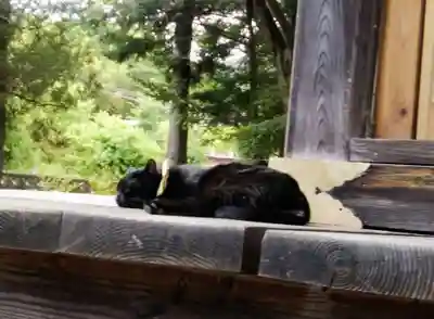高司神社〜むすびの神の鎮まる社〜(福島県)