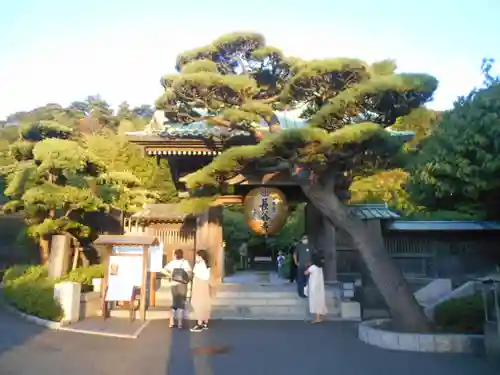 長谷寺の山門・神門