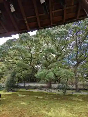 青蓮院門跡(京都府)