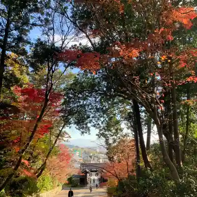 光明寺（粟生光明寺）(京都府)