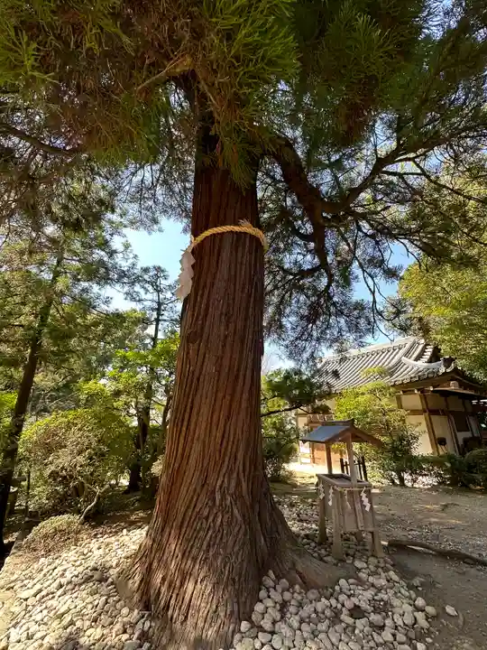 石上神宮(奈良県)