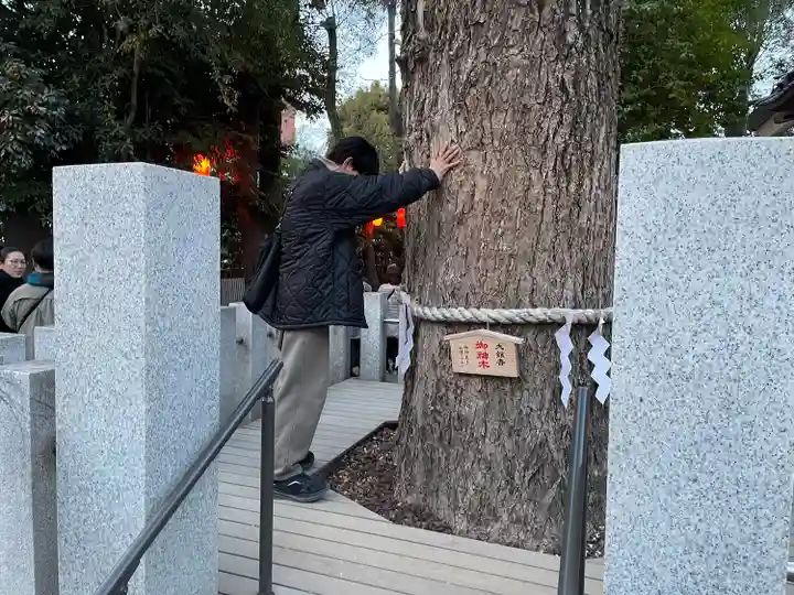 田無神社(東京都)