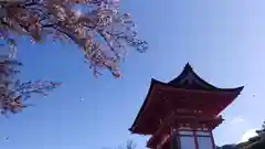 清水寺の自然