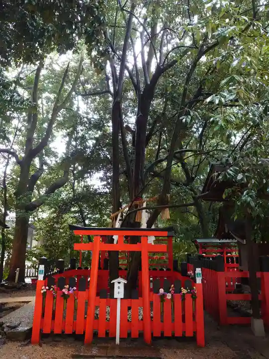 賀茂御祖神社(下鴨神社)(京都府)
