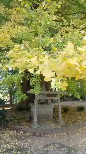 西蓮寺(茨城県)