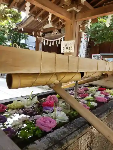 鳩森八幡神社の手水舎