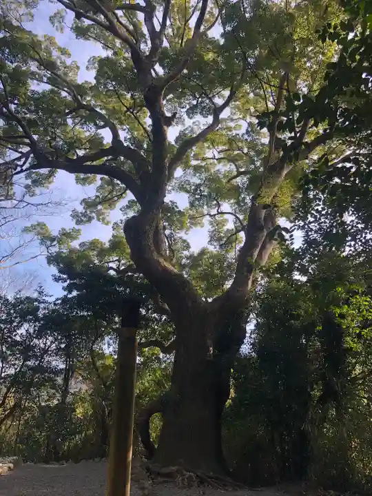 月讀宮(皇大神宮別宮)の自然