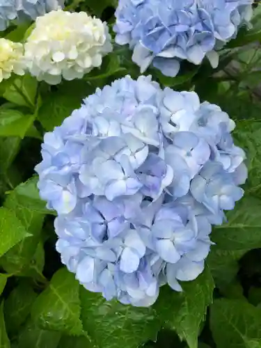 境香取神社の自然