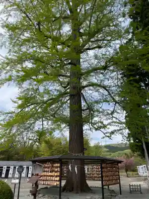 秋保神社(宮城県)
