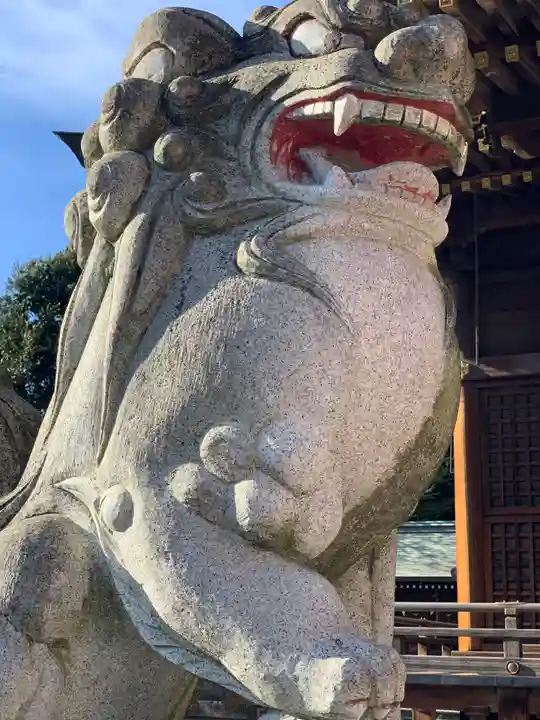 赤羽八幡神社の狛犬