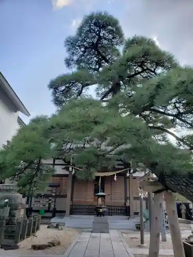 瑞光寺の庭園