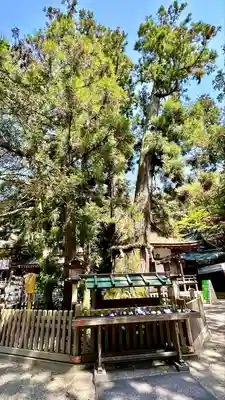 大神神社(奈良県)