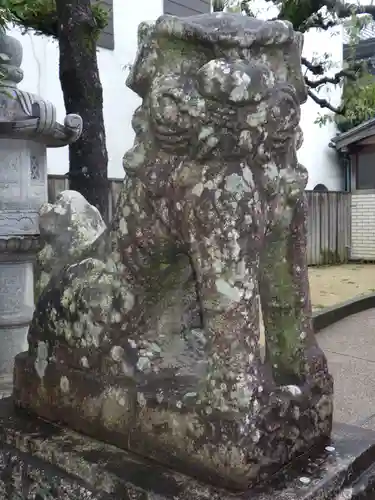 事代主神社の狛犬