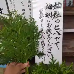 七重浜海津見神社(北海道)