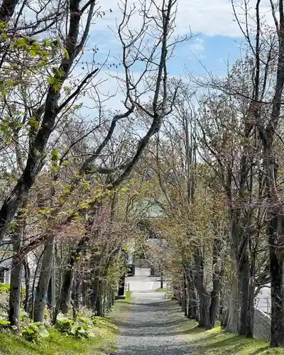 釧路一之宮 厳島神社の景色