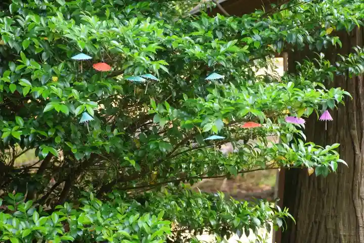 高司神社〜むすびの神の鎮まる社〜のおみくじ