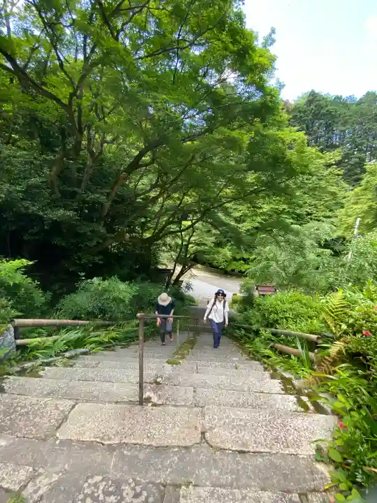 日向大神宮の{uncategorized: "未分類", other: "その他", undefined: "問題あり", building: "その他建物", grave: "お墓", sacred_gate: "鳥居", guardian: "狛犬", statue: "像", buddha: "仏像", history: "歴史", nature: "自然", garden: "庭園", animal: "動物", pagoda: "塔", temizu: "手水舎", mountain_gate: "山門・神門", sanctuary: "本殿・本堂", subordinate: "末社・摂社", art: "芸術", scenery: "景色", jizo: "地蔵", ema: "絵馬", goshuin: "御朱印", omikuji: "おみくじ", items: "授与品その他", amulet: "お守り", goshuincho: "御朱印帳", eats: "食事", festival: "お祭り", votive_dance: "神楽", shichigosan: "七五三参", wedding: "結婚式", experience: "体験その他", initially: "初詣", around: "周辺", anti_infection: "感染症対策"}