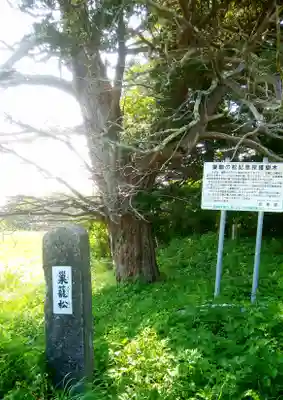 玉川神社のその他建物
