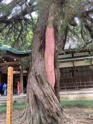 円覚寺(神奈川県)