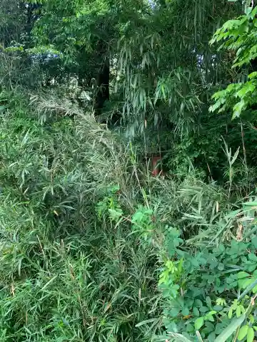 天光龍王亀菊弁財天(千葉県)