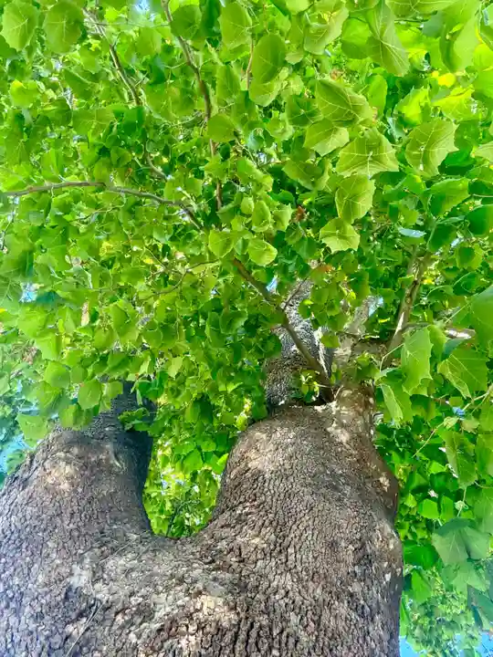 龍宮神社(北海道)