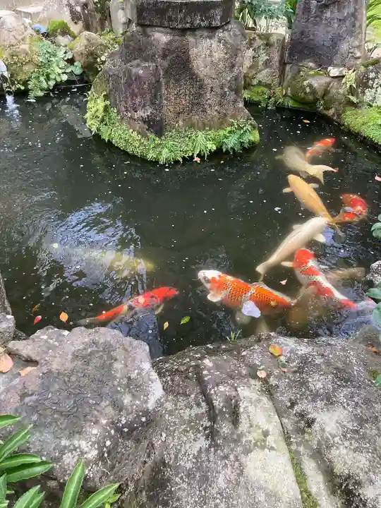 多聞院(広島県)